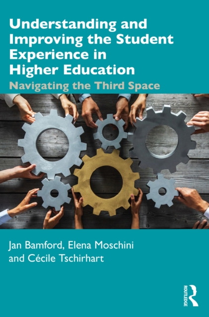Understanding and Improving the Student Experience in Higher Education : Navigating the Third Space, PDF eBook