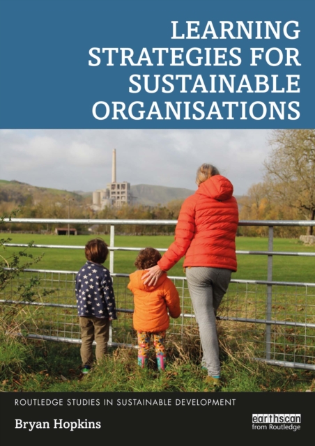 Learning Strategies for Sustainable Organisations, EPUB eBook