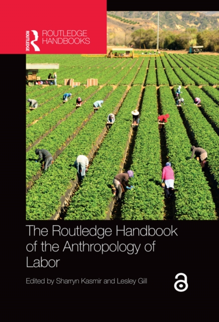 The Routledge Handbook of the Anthropology of Labor, PDF eBook