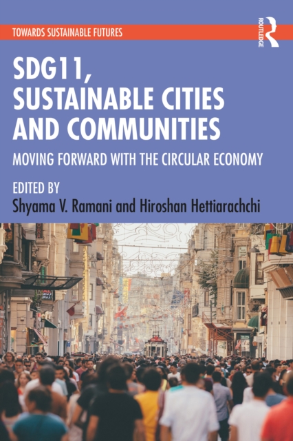 SDG11, Sustainable Cities and Communities, EPUB eBook