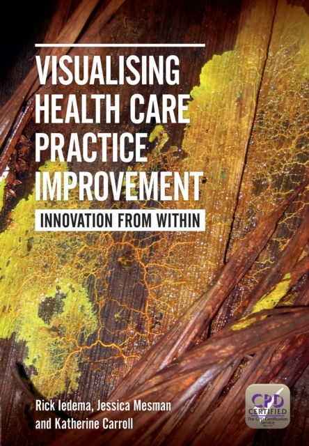 Visualising Health Care Practice Improvement : Innovation from Within, PDF eBook