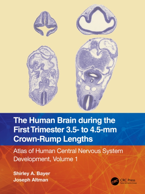The Human Brain during the First Trimester 3.5- to 4.5-mm Crown-Rump Lengths : Atlas of Human Central Nervous System Development, Volume 1, PDF eBook