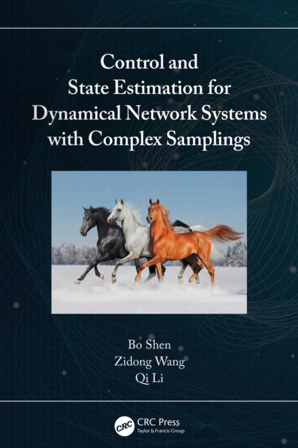 Control and State Estimation for Dynamical Network Systems with Complex Samplings, EPUB eBook