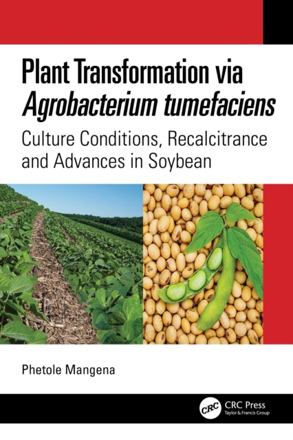 Plant Transformation via Agrobacterium Tumefaciens : Culture Conditions, Recalcitrance and Advances in Soybean, PDF eBook