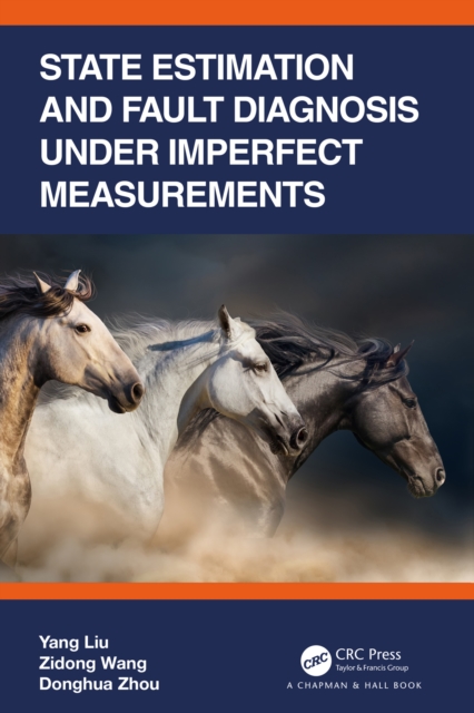 State Estimation and Fault Diagnosis under Imperfect Measurements, EPUB eBook