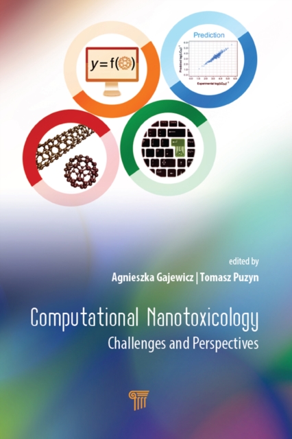 Computational Nanotoxicology : Challenges and Perspectives, PDF eBook