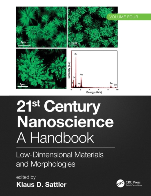 21st Century Nanoscience - A Handbook : Low-Dimensional Materials and Morphologies (Volume Four), PDF eBook