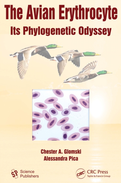 The Avian Erythrocyte : Its Phylogenetic Odyssey, EPUB eBook
