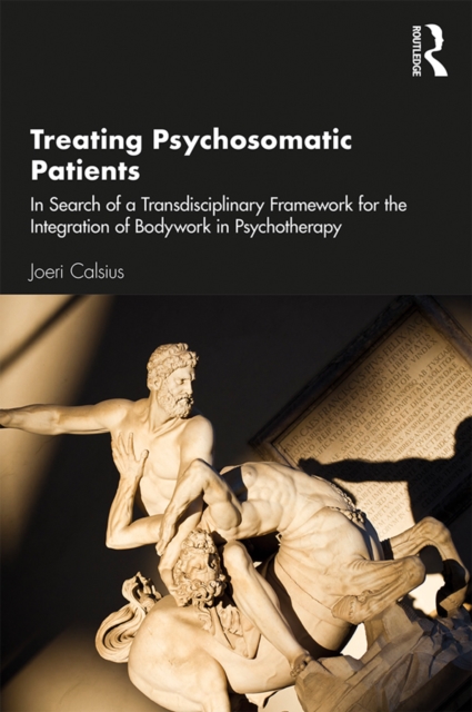 Treating Psychosomatic Patients : In Search of a Transdisciplinary Framework for the Integration of Bodywork in Psychotherapy, PDF eBook