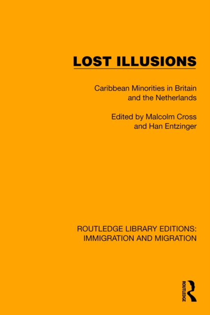 Lost Illusions : Caribbean Minorities in Britain and the Netherlands, PDF eBook