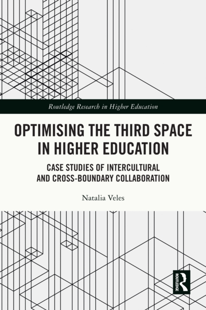 Optimising the Third Space in Higher Education : Case Studies of Intercultural and Cross-Boundary Collaboration, PDF eBook
