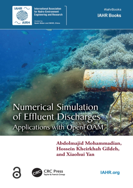 Numerical Simulation of Effluent Discharges : Applications with OpenFOAM, PDF eBook