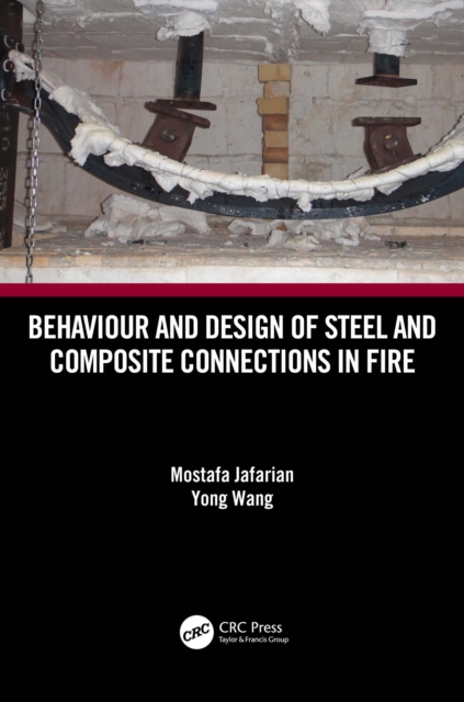 Behaviour and Design of Steel and Composite Connections in Fire, PDF eBook