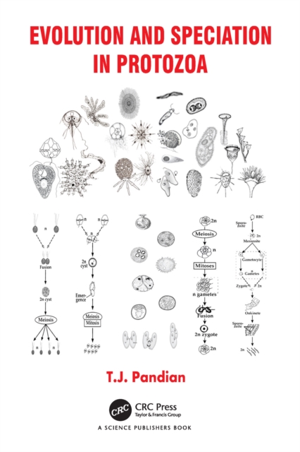 Evolution and Speciation in Protozoa, PDF eBook