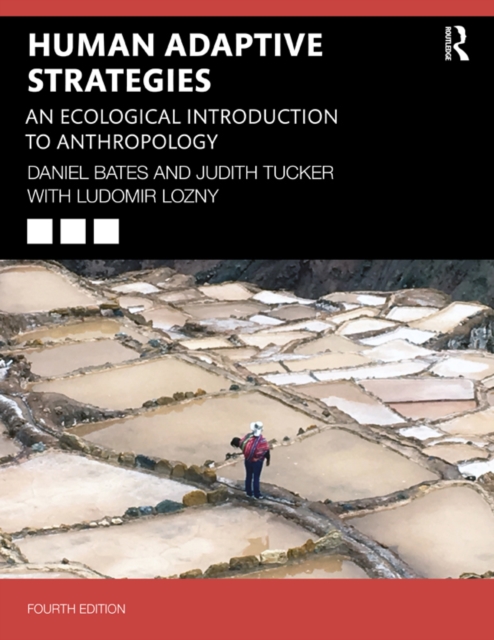 Human Adaptive Strategies : An Ecological Introduction to Anthropology, PDF eBook