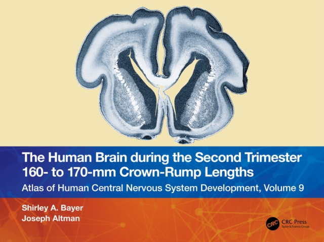 The Human Brain during the Second Trimester 160- to 170-mm Crown-Rump Lengths : Atlas of Human Central Nervous System Development, Volume 9, PDF eBook