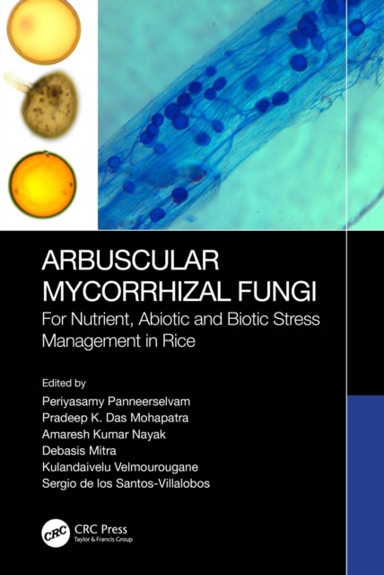 Arbuscular Mycorrhizal Fungi : For Nutrient, Abiotic and Biotic Stress Management in Rice, EPUB eBook