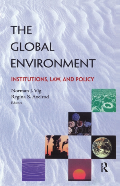 The Global Environment : Institutions, Law and Policy, PDF eBook