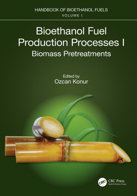 Bioethanol Fuel Production Processes. I : Biomass Pretreatments, EPUB eBook