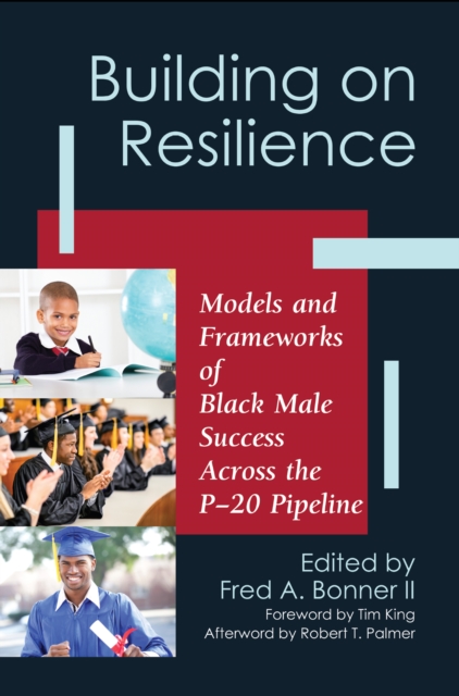 Building on Resilience : Models and Frameworks of Black Male Success Across the P-20 Pipeline, PDF eBook