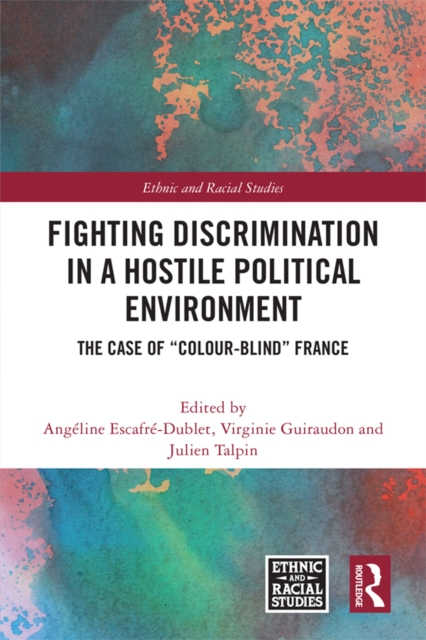 Fighting Discrimination in a Hostile Political Environment : The Case of "Colour-Blind" France, PDF eBook