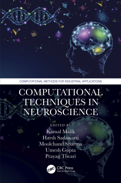 Computational Techniques in Neuroscience, EPUB eBook