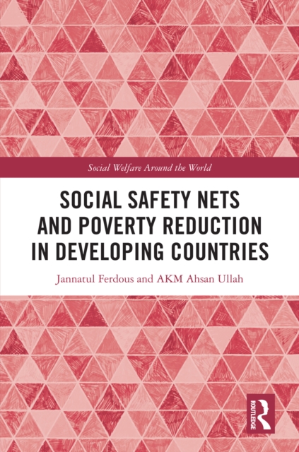 Social Safety Nets and Poverty Reduction in Developing Countries, PDF eBook
