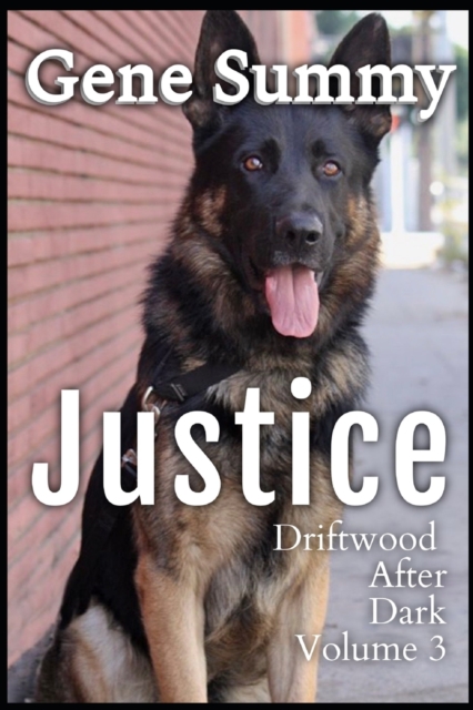 Justice : Driftwood after Dark - Volume 3, EPUB eBook