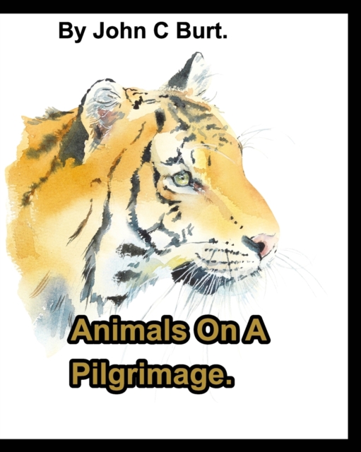 Animals On A Pilgrimage., Paperback / softback Book