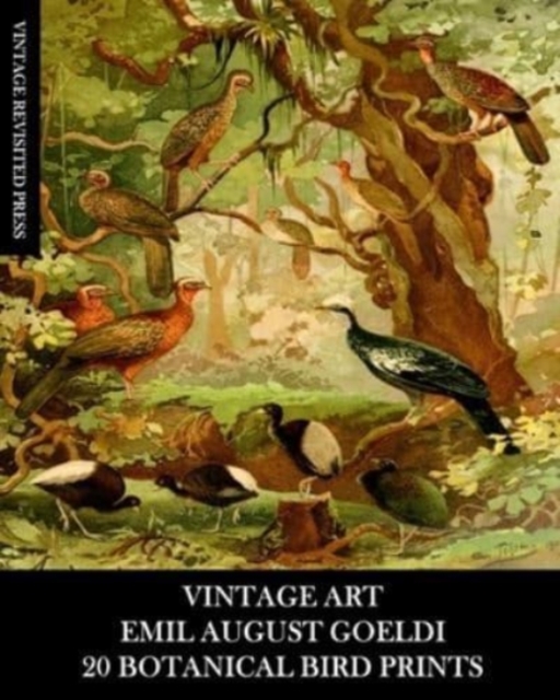 Vintage Art : Emil August Goeldi: 20 Botanical Bird Prints: Ephemera for Framing, Home Decor, Collage and Decoupage, Paperback / softback Book