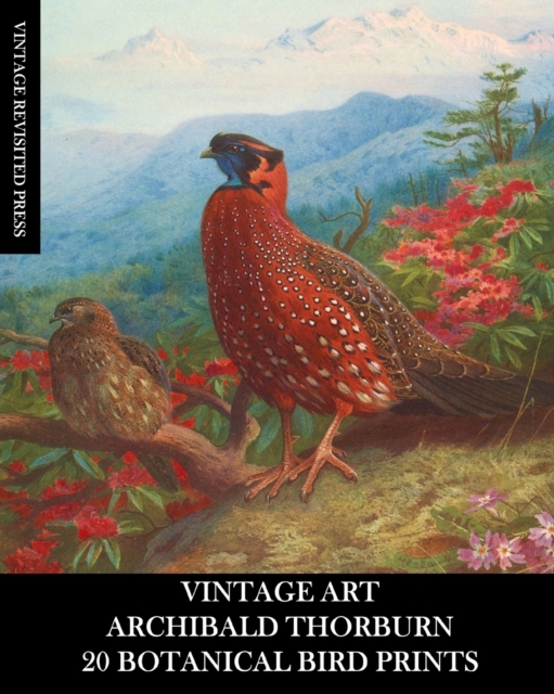 Vintage Art : Archibald Thorburn: 20 Botanical Bird Prints: Ephemera for Framing, Home Decor, Collage and Decoupage, Paperback / softback Book