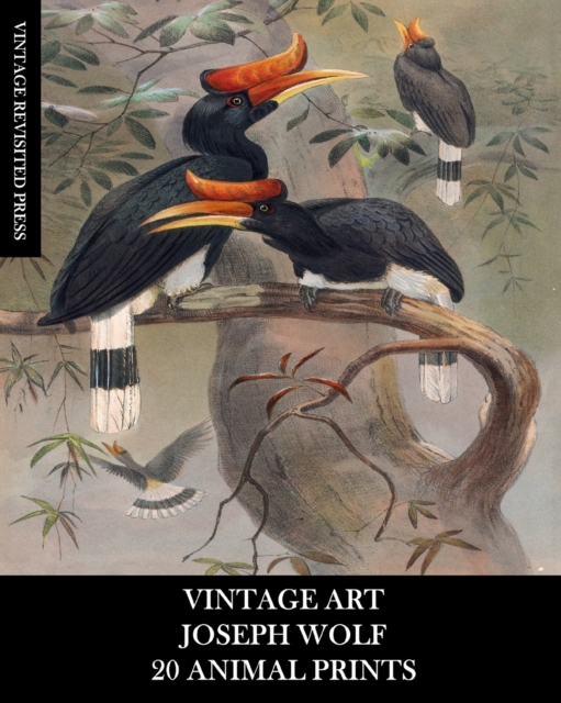 Vintage Art : Joseph Wolf: 20 Animal Prints: Zoology Ephemera for Framing, Home Decor, Collage and Decoupage, Paperback / softback Book