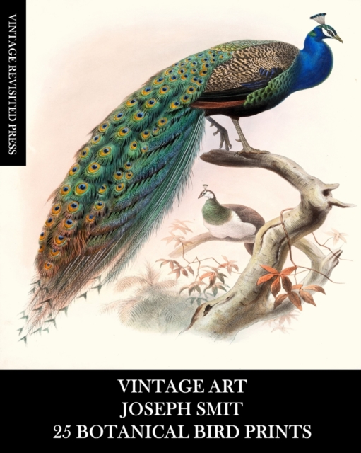 Vintage Art : Joseph Smit: 25 Botanical Bird Prints: Ornithology Ephemera for Framing, Home Decor, Collage and Decoupage, Paperback / softback Book