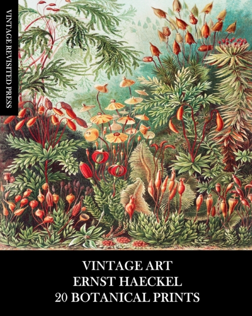 Vintage Art : Ernst Haeckel: 20 Botanical Prints: Flora and Fauna Ephemera for Framing, Collage and Decoupage, Paperback / softback Book