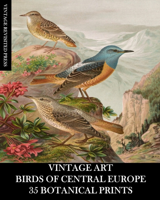 Vintage Art : Birds of Central Europe: 35 Botanical Prints, Paperback / softback Book