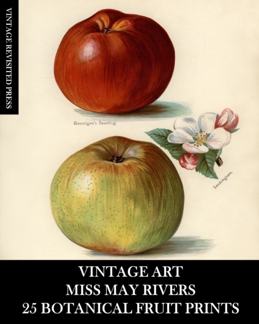 Vintage Art : Miss May Rivers: 25 Botanical Fruit Prints: Ephemera for Framing, Collage, Decoupage and Junk Journals, Paperback / softback Book