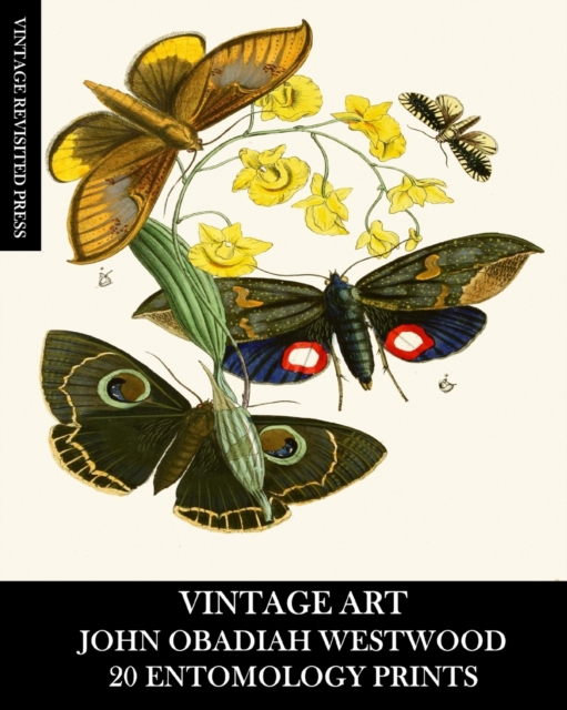 Vintage Art : John Obadiah Westwood 20 Entomology Prints: Fauna and Flora Ephemera for Framing, Collage and Decoupage, Paperback / softback Book