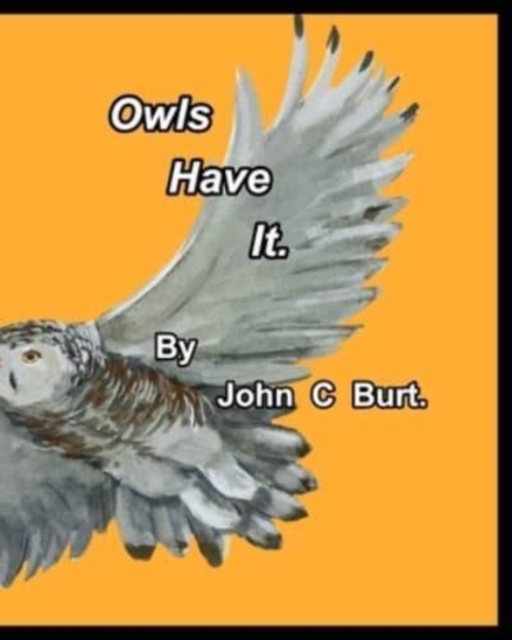 Owls Have It., Paperback / softback Book