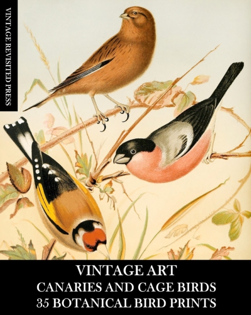 Vintage Art : Canaries and Cage Birds 35 Botanical Prints: Ephemera for Framing, Decoupage, and Mixed Media, Paperback / softback Book