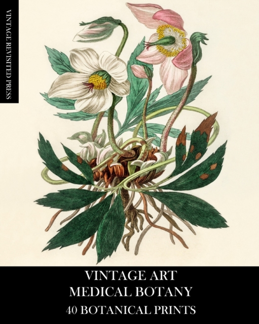 Vintage Art : Medical Botany 40 Botanical Prints, Paperback / softback Book