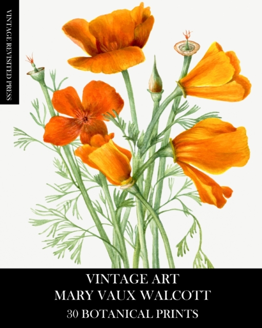 Vintage Art : Mary Vaux Walcott 30 Botanical Prints, Paperback / softback Book