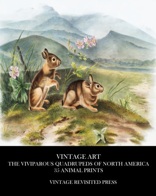 Vintage Art : The Viviparous Quadrupeds of North America 35 Animal Prints, Paperback / softback Book