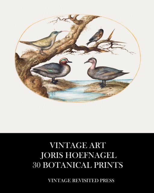 Vintage Art : Joris Hoefnagel 30 Botanical Prints, Paperback / softback Book