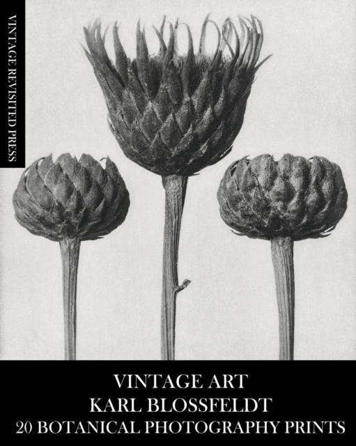 Vintage Art : Karl Blossfeldt 20 Botanical Photography Prints, Paperback / softback Book