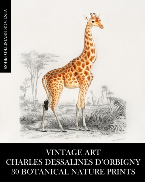 Vintage Art : Charles Dessalines D'Orbigny: 30 Botanical Nature Prints, Paperback / softback Book