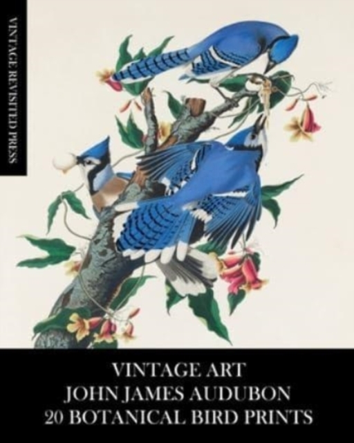Vintage Art : John James Audubon: 20 Botanical Bird Prints, Paperback / softback Book