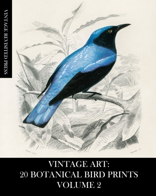 Vintage Art : 20 Botanical Bird Prints Volume 2: Ephemera for Framing, Collage, Mixed Media and Junk Journals, Paperback / softback Book
