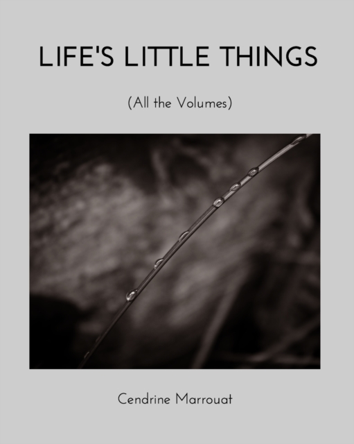 Life's Little Things : All the Volumes, Paperback / softback Book