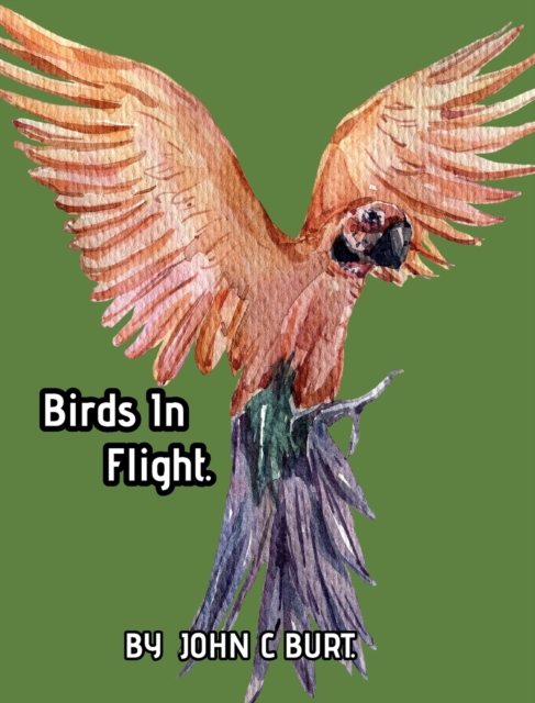 Birds In Flight., Hardback Book