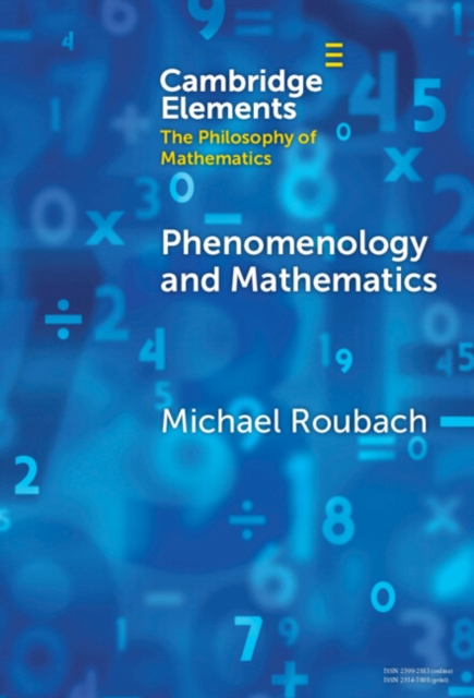 Phenomenology and Mathematics, EPUB eBook